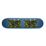 El ideal de Henri Rousseau (1910) Patinetas Personalizadas