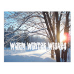 El INVIERNO CALIENTE DESEA diseño de la salida del Tarjetas Postales