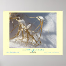 El invierno se chiba el poster