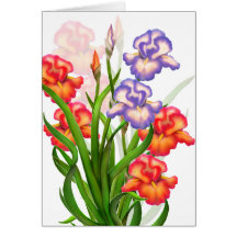 El iris elegante florece la tarjeta
