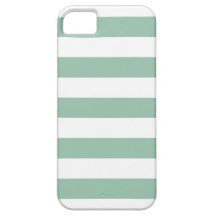 El jade raya la caja del iPhone 5 del modelo iPhone 5 Case-Mate Protector