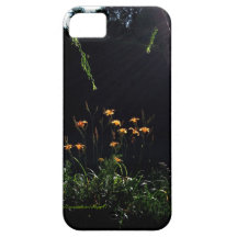 El jardín irradia la caja del teléfono iPhone 5 Case-Mate cárcasas