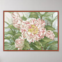 El jardín rayado de la camelia florece la pintura impresiones