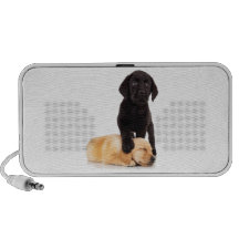 El jugar de los perritos del labrador retriever iPhone altavoces