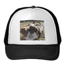 El jugar de los perritos gorro de camionero