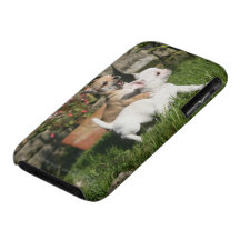 El jugar del perrito de la chihuahua iPhone 3 Case-Mate cárcasa