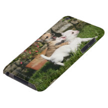 El jugar del perrito de la chihuahua Case-Mate iPod touch fundas