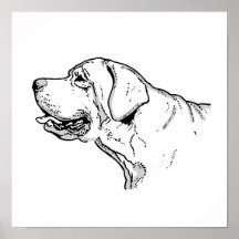 EL LABRADOR POSTERS