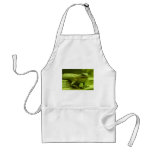 El lagarto verde delantales