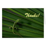 El lagarto verde le agradece cardar felicitaciones