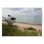 El lago Michigan Tarjetas
