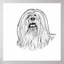 EL LASA APSO POSTERS