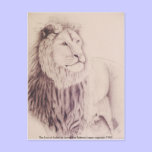 El león de Judah - dibuje a lápiz en el papel Var  tarjetas postales