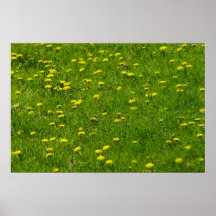 El león en primavera posters