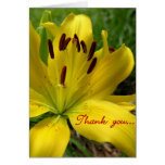 El lirio floral le agradece felicitación