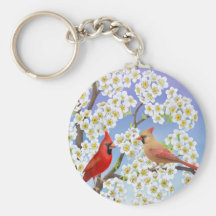 El llavero de los cardenales