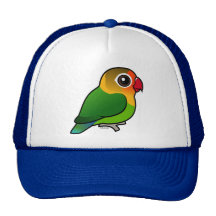 El Lovebird de Fischer Gorras