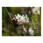 El manosear en el trébol; Calendario 2013 Cojinete