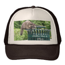 el mapache, chillin tiene gusto de un malvado gorro de camionero