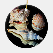 El mar descasca el ornamento pendiente ornamento para reyes magos