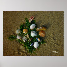 El mar descasca el poster