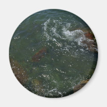 El mar iman