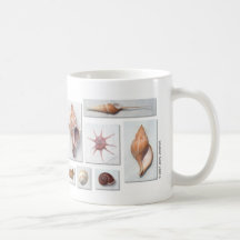El mar Shell asalta Taza De Café