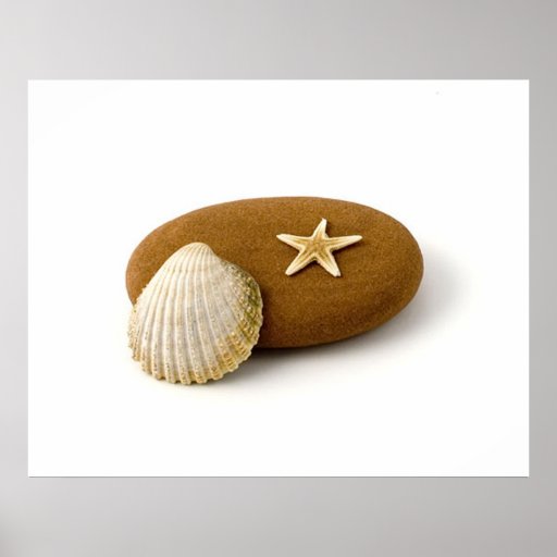 El mar Shell de la naturaleza del zen protagoniza  Posters
