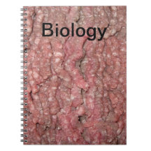 ¡El mejor cuaderno de la clase de Biología nunca!