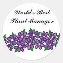 El mejor director de la planta del mundo pegatinas  