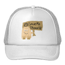 El melocotón me ahorra gorra