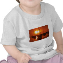 el meteorito tiene gusto del sol camisetas