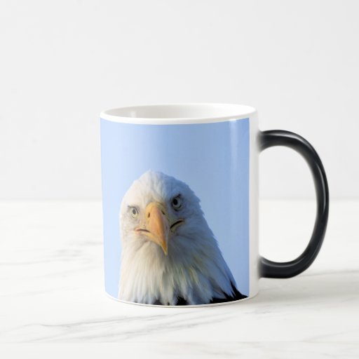 El mirar fijamente Eagle calvo Tazas
