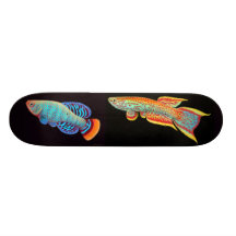 El monopatín del Killifish