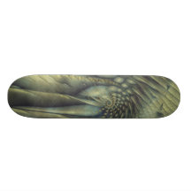 El monopatín del nautilus el dormir