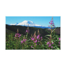 El Monte Rainier y Fireweed Impresión De Lienzo