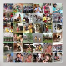 El mosaico de fotos por el Amazonas CUIDA caridad Poster