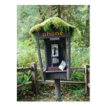 El musgo cubrió la cabina de teléfono postales