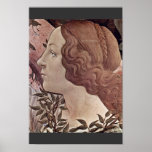 El nacimiento del detalle de Venus de Botticelli S Posters