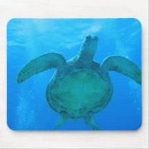 El nadar con las tortugas de mar en Hawaii 1 Tapetes De Raton