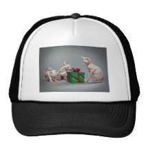 EL NAVIDAD DEL CAT SIN PELO GORRAS DE CAMIONERO