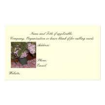 El negocio de las lilas, ahorra las tarjetas de la tarjeta de visita
