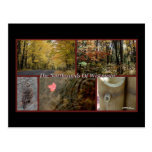 El Northwoods de Wisconsin Tarjetas Postales
