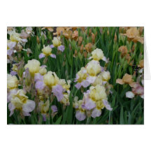 El nuevo día cultiva un huerto iris 'Enriched de N Felicitaciones