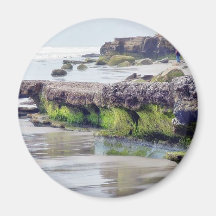 El océano de las playas oscila la arena del musgo imán de frigorífico