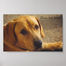 el odie, sirve al mejor amigo posters