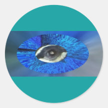 El ojo del pavo real, sellos del sobre pegatinas  