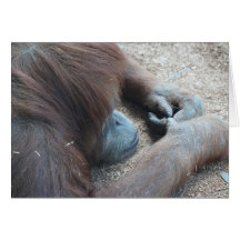 El orangután divertido que le falta carda felicitaciones