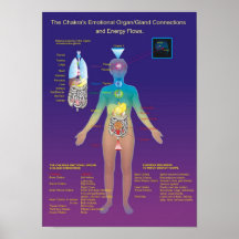 El órgano de Chakra/la glándula y el flujo de ener Posters