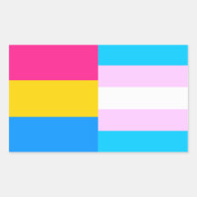 El orgullo Pansexual/del transporte señala al pega